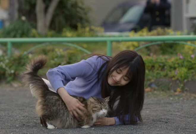 Shot from the movie