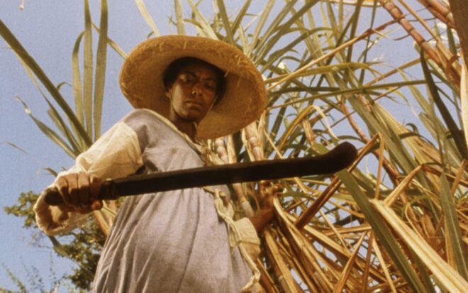 Shot from the movie